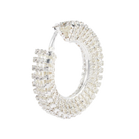 Crystal Hoop Earrings Crystal