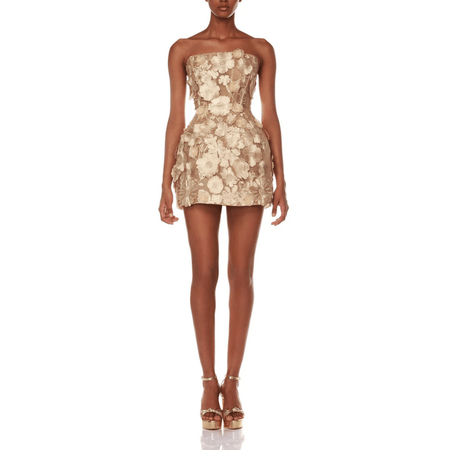 gold dress rental Rent Jasmine Maraya Mini | HK$1,180 DROP_AUG25-D2